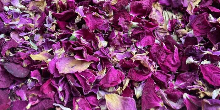 Naturkosmetik-Workshop: „Mit Wurzeln, Kräutern und Blüten in den Herbst“ mit Angela Senf